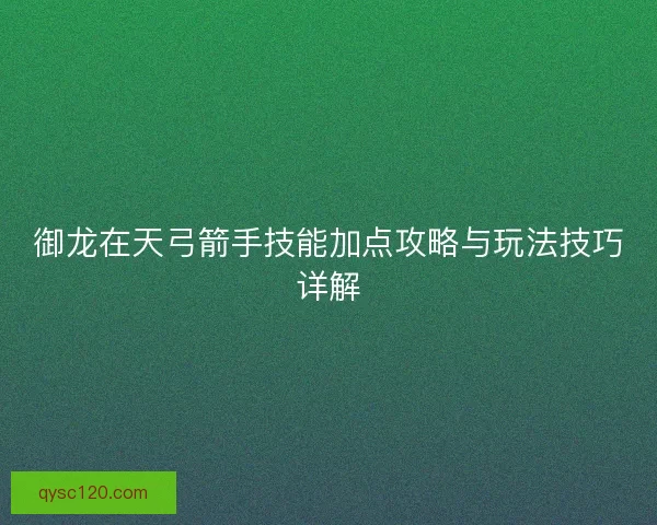 御龙在天弓箭手技能加点攻略与玩法技巧详解