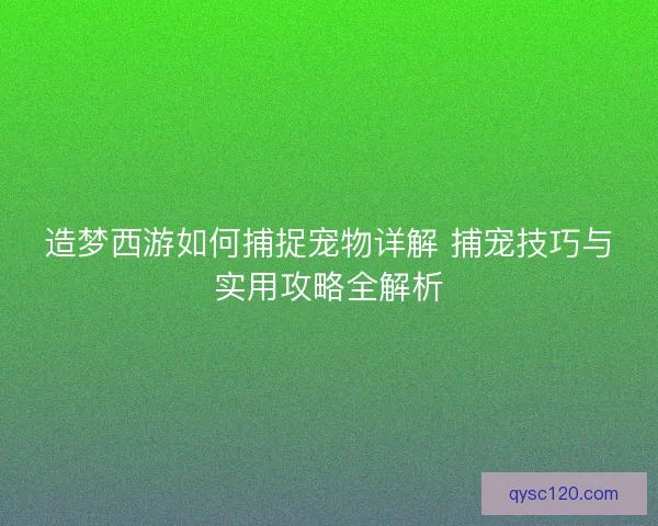 造梦西游如何捕捉宠物详解 捕宠技巧与实用攻略全解析