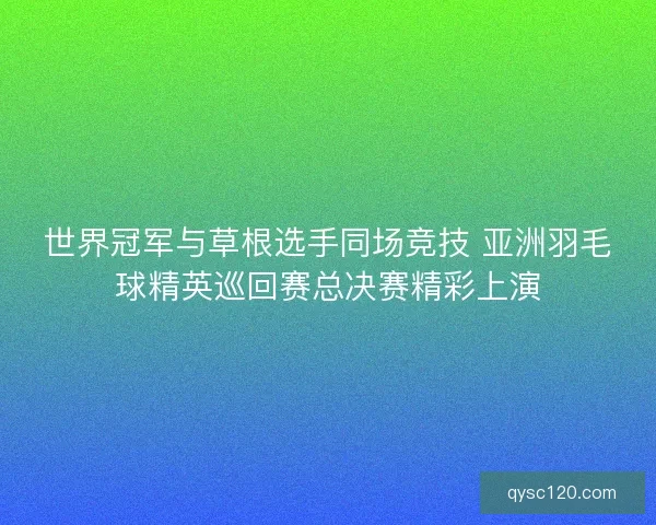 世界冠军与草根选手同场竞技 亚洲羽毛球精英巡回赛总决赛精彩上演